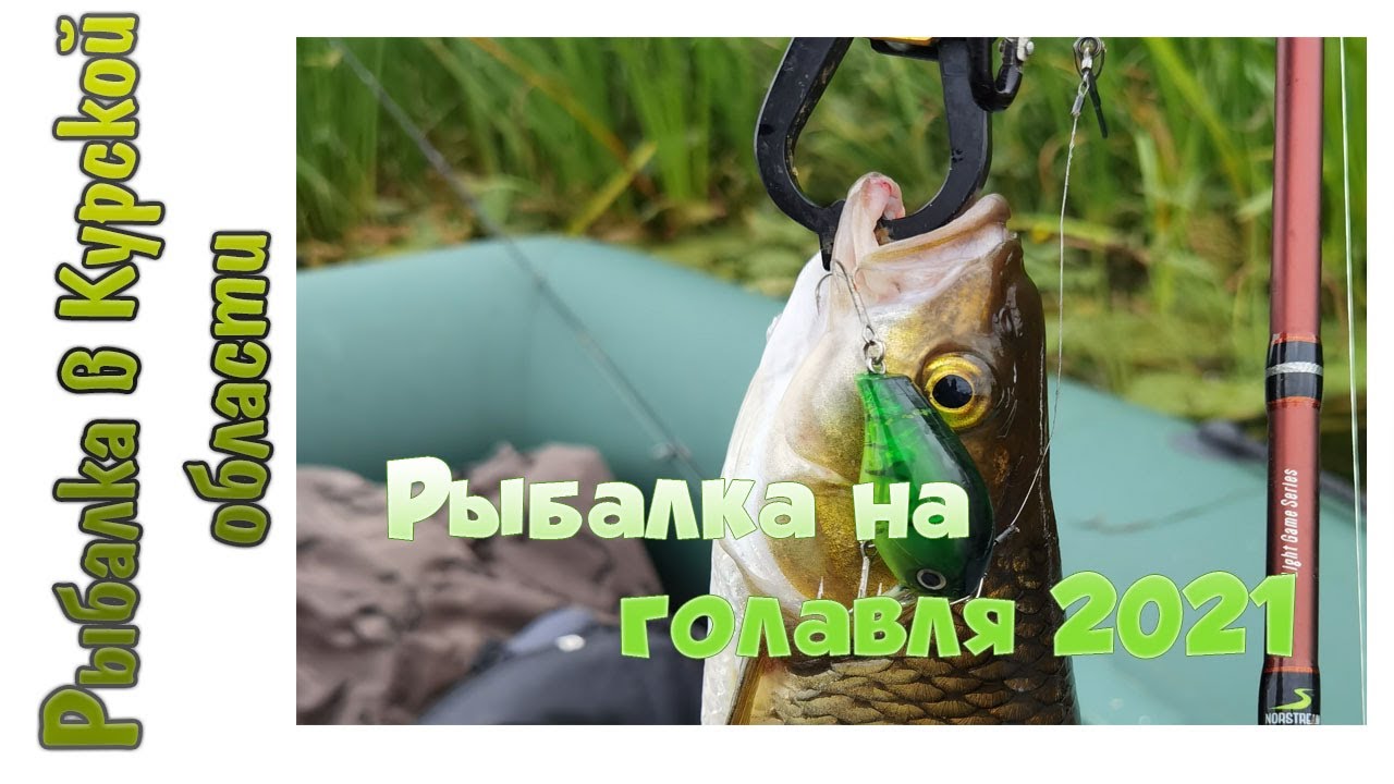 Трофейный голавль на Lucky Craft Clutch SSR. Рыбалка на голавля 2021. Часть 1
