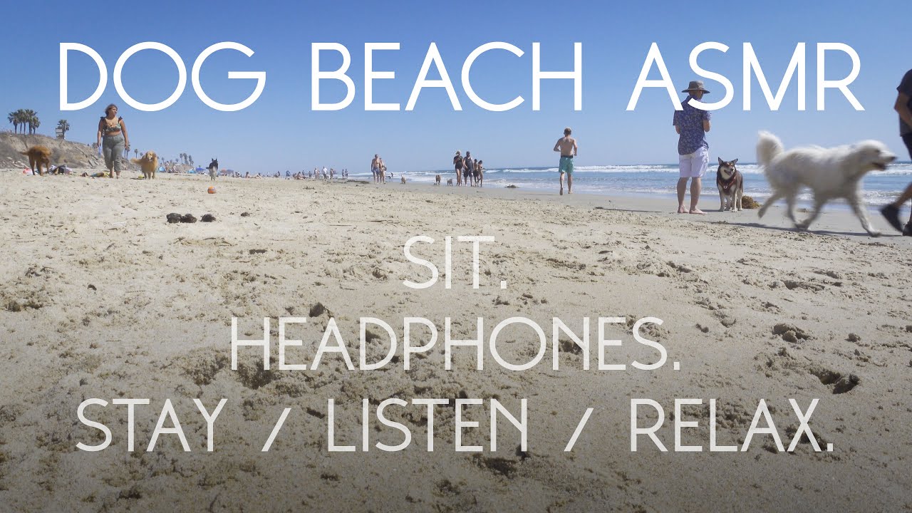 Literally Just ASMR: The Dog Beach!