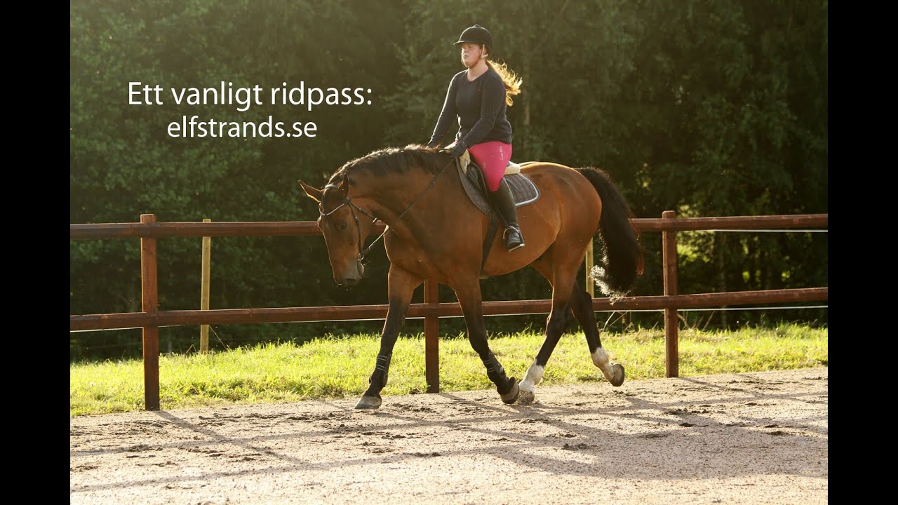 Ett vanligt ridpass: elfstrands.se