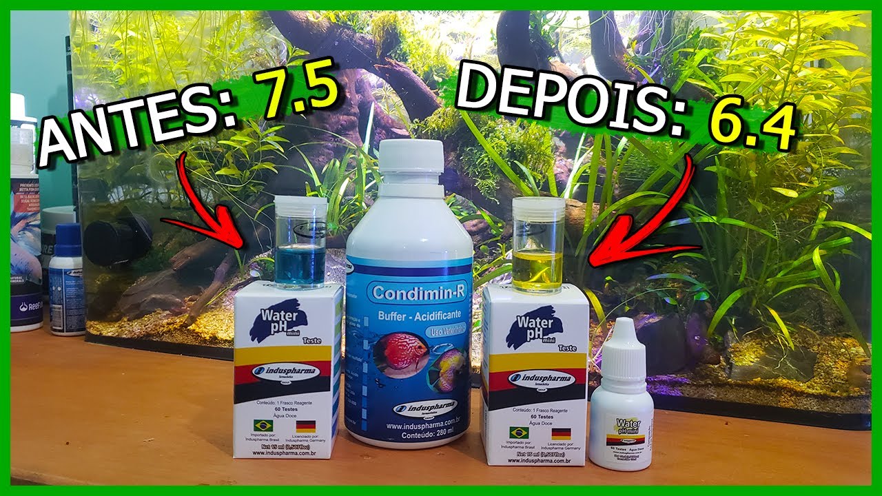 Como deixar o pH do Aquário ÁCIDO facilmente! - A Química do Aquarismo #1
