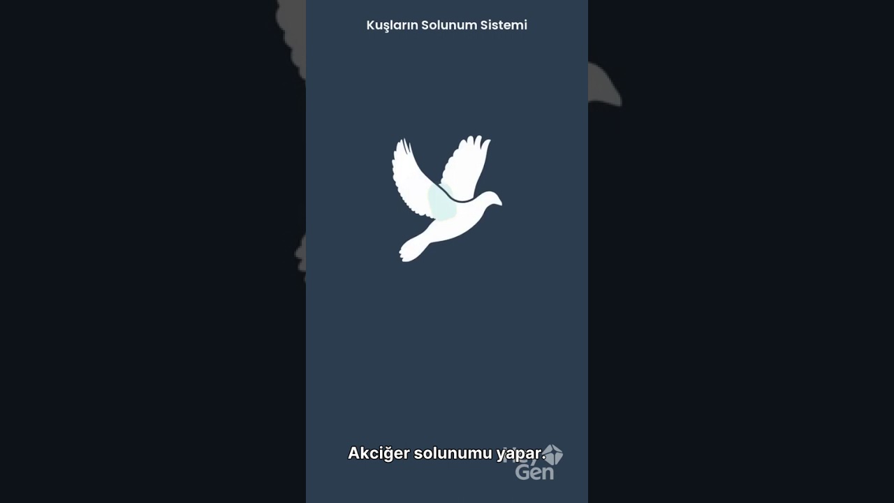 9 biyoloji Kuşlar ve Memeliler