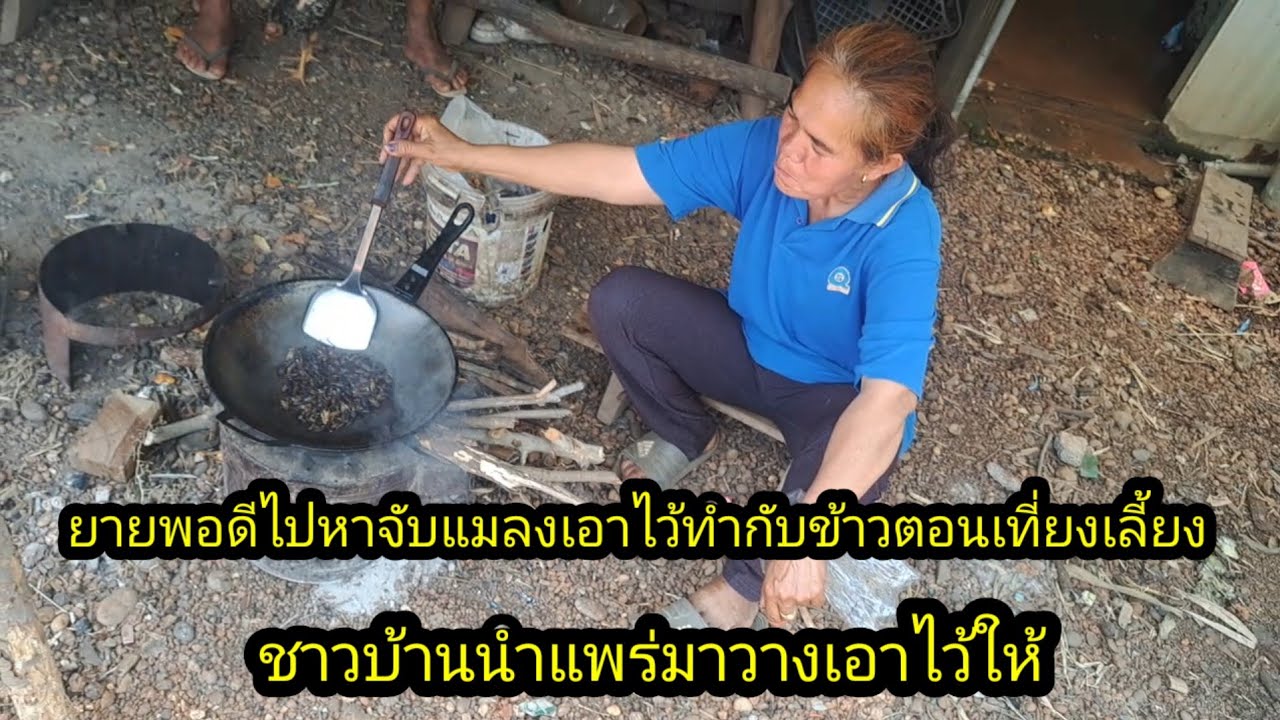 ยายพาดีไปหาแมงมาเมื่อคืนตามทุ่งนาเพื่อมาคั่วให้เราได้กิน#จิตอาสา 