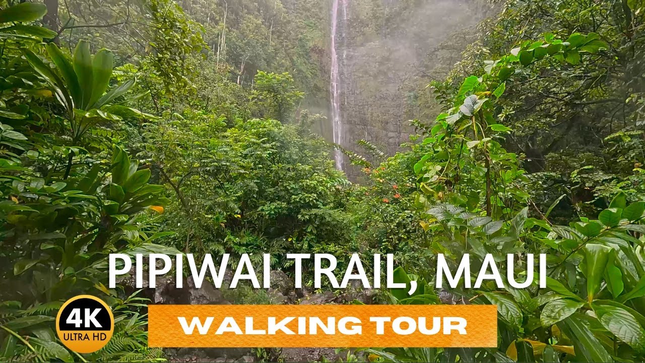 HALEAKALĀ National Park: Pipiwai Trail Walking Tour in 4K