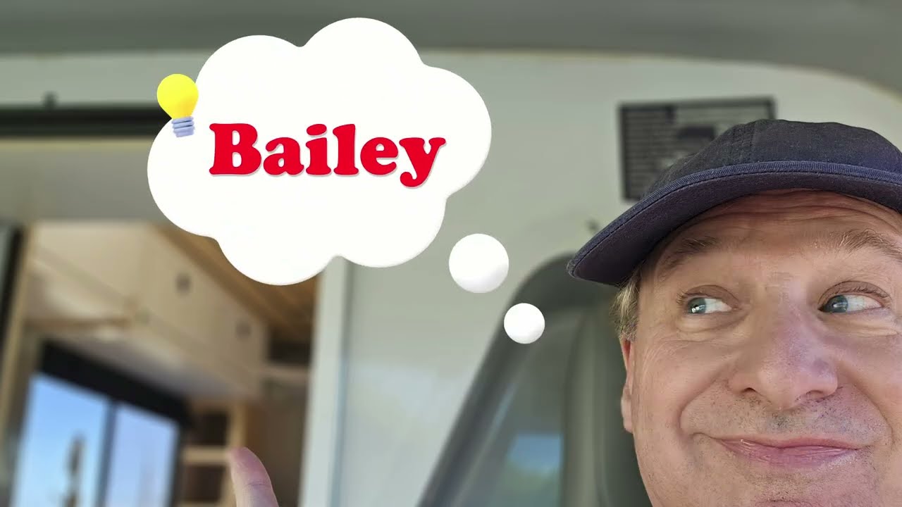 Meet Bailey - The Van Tour