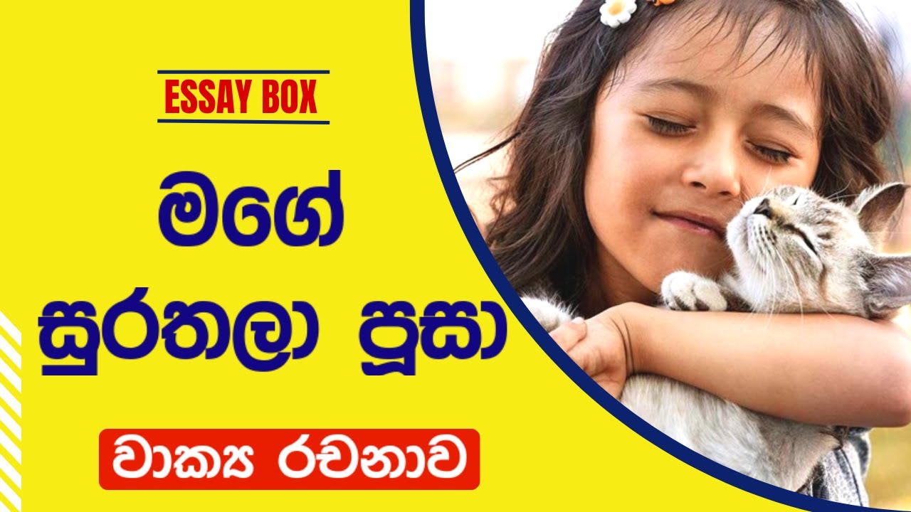මගේ සුරතලා පූසා වාක්&zwj;ය රචනාව | My pet essay in Sinhala | Mage surathala rachanawa | Essay Box!