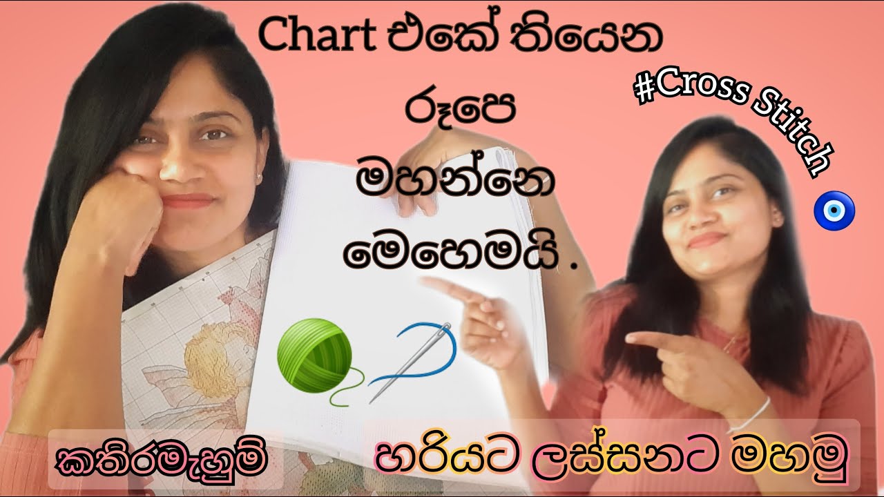 Chart එකේ තියෙන රූපෙ කොහොමද රෙදිකෑල්ලෙ මහගන්නෙ 🤔 #crossstitch #crossstitchdesigns #crossstitching