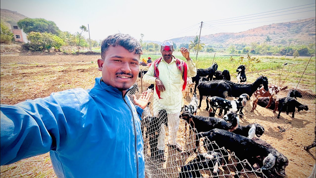 आज जरा कामा निमित्त आलो गावाला तर आजीला भेटायला शेतात गेल्यावर पाहुण कोण भेटल पाहा 🤔