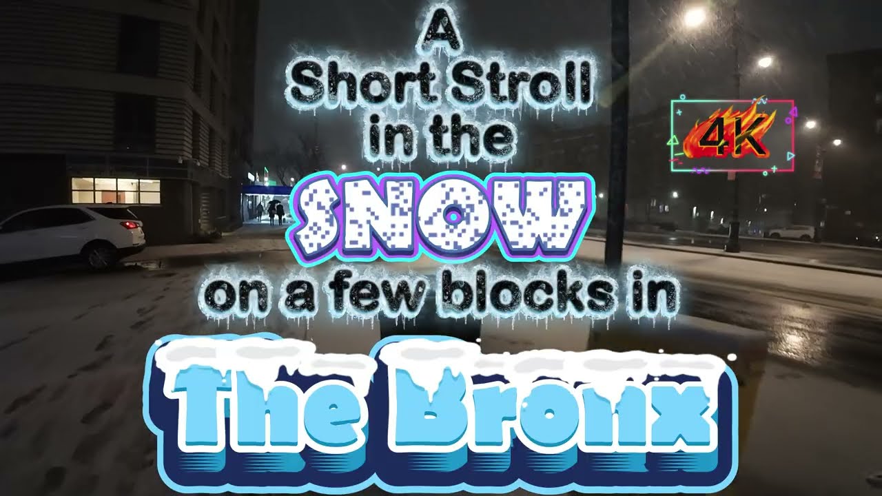 A Short Stroll in the Snow - the Bronx (4K)