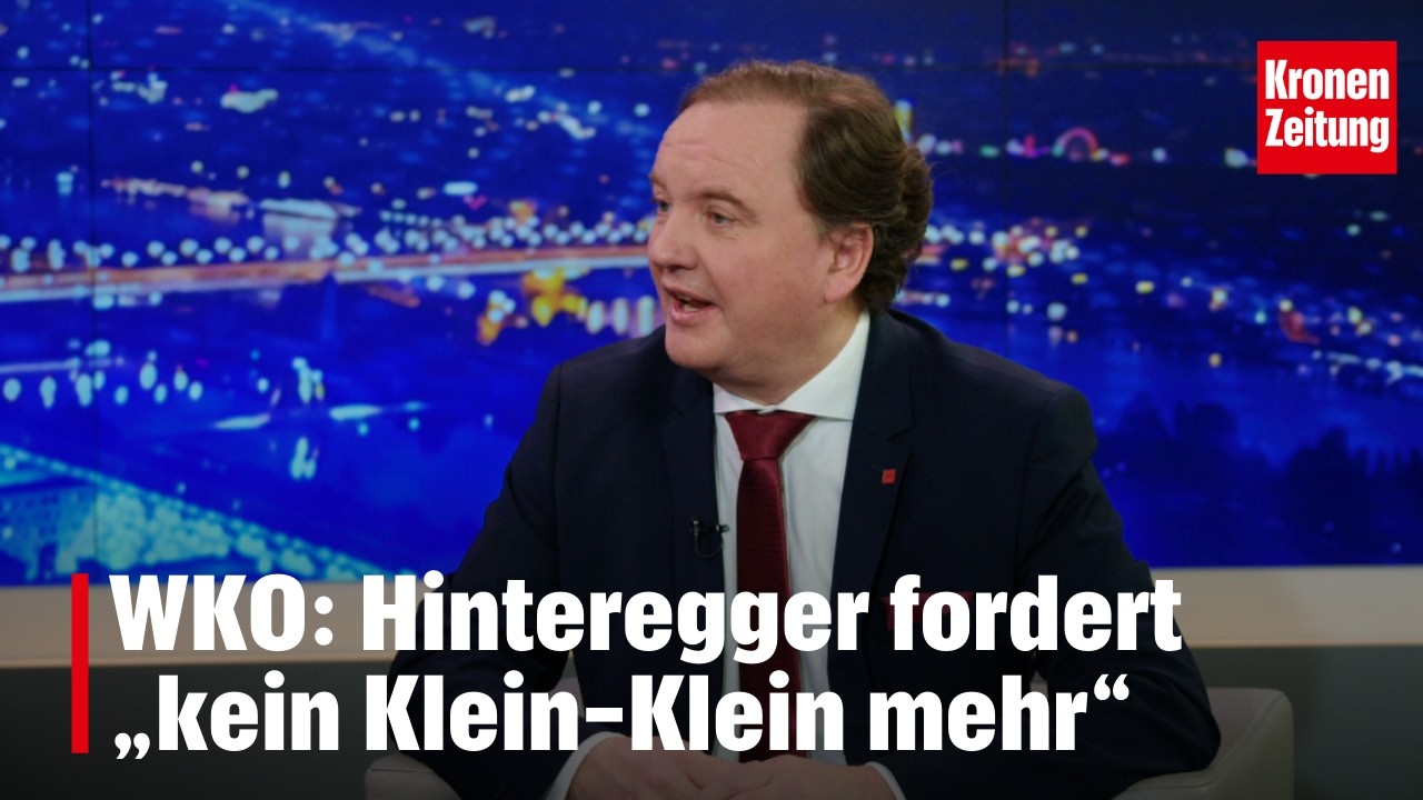 WKO-Reform? Hinteregger fordert „kein Klein-Klein mehr“ | krone.tv NACHGEFRAGT