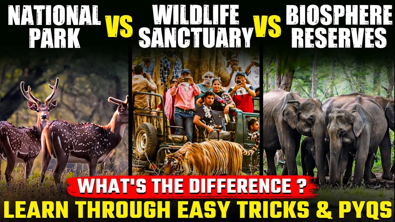 Difference between National Park Vs Wildlife Sanctuary Vs Biosphere Reserve! Easy Tricks and PYQs