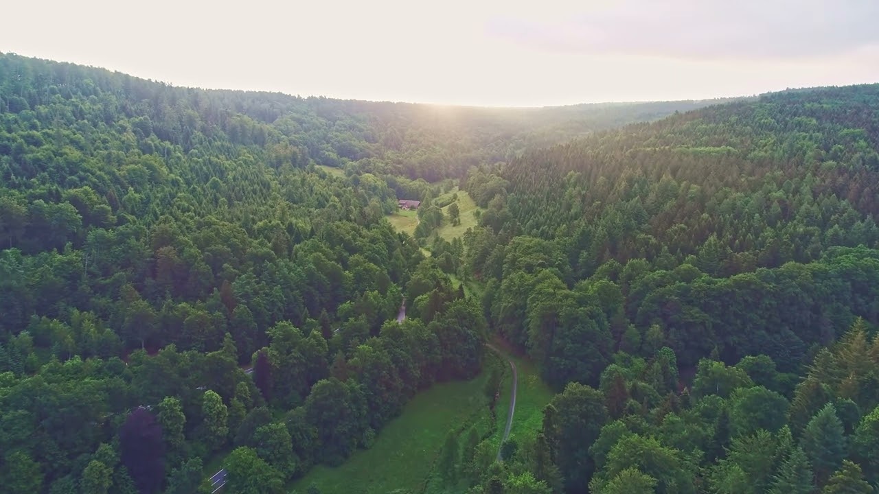 Aerial View Forest Morning Sun Landscape Sunrise