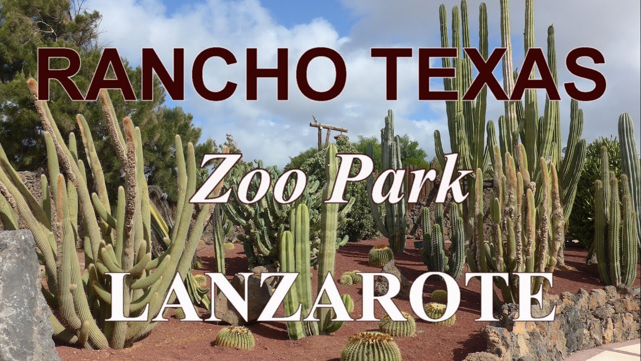 Rancho Texas Park, Lanzarote - Gardens, Animals and Shows