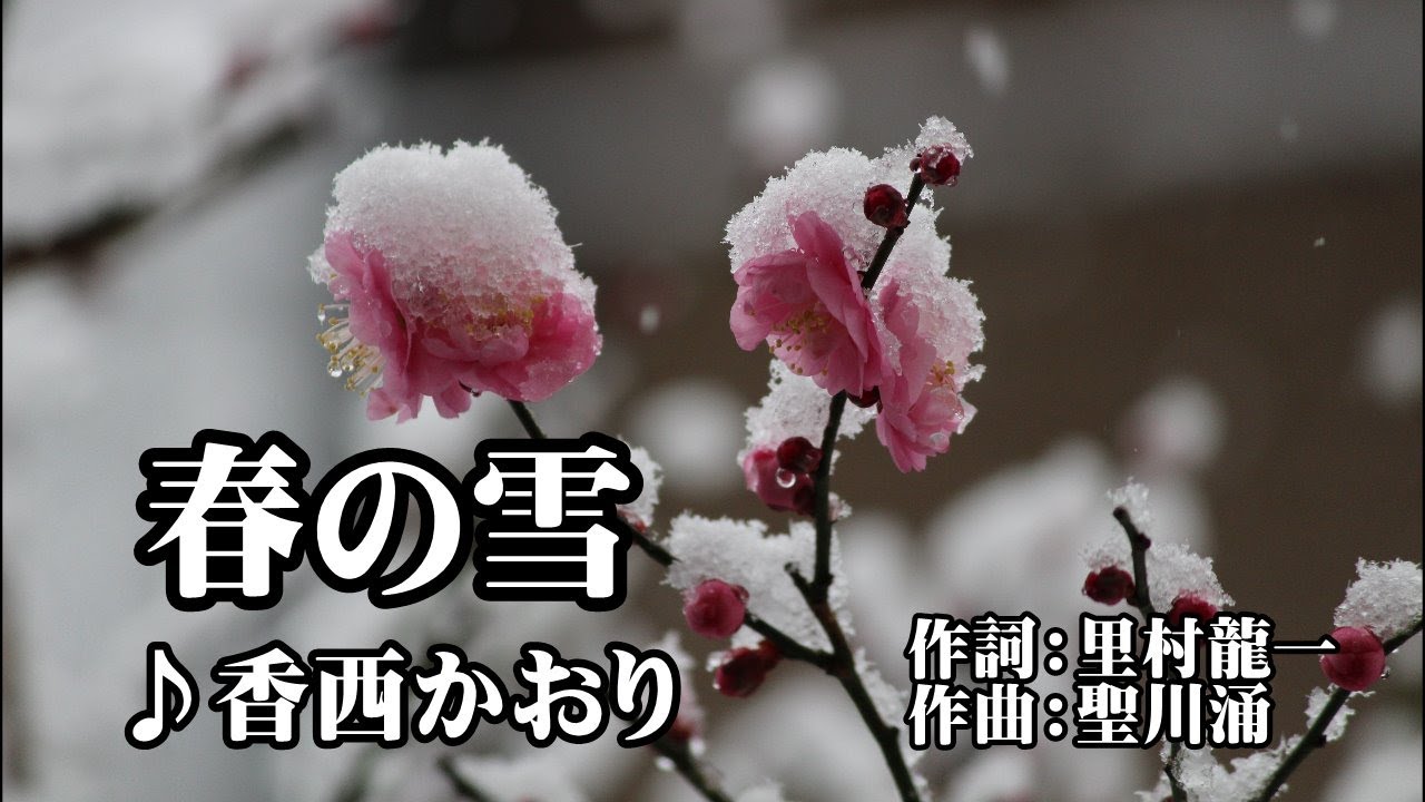 春の雪♪香西かおり