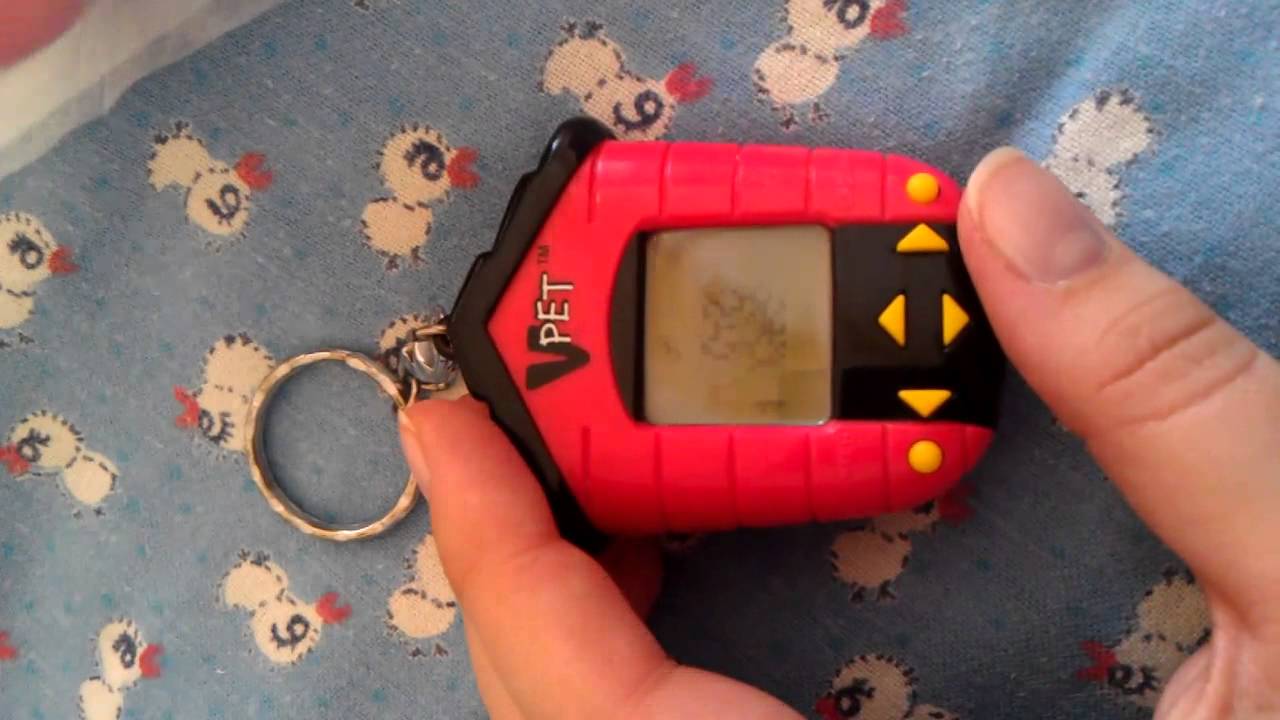 V-pet dog