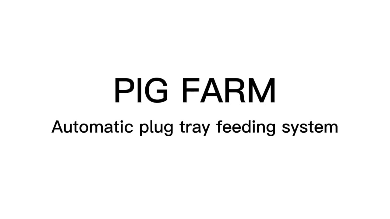 Pig farm automatic plug tray feeding system, sow, fattening pig automatic feeding equipment