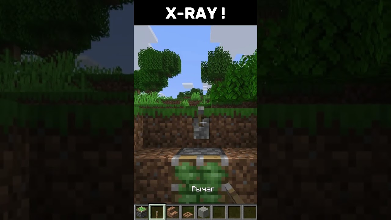 X-RAY! #minecraft