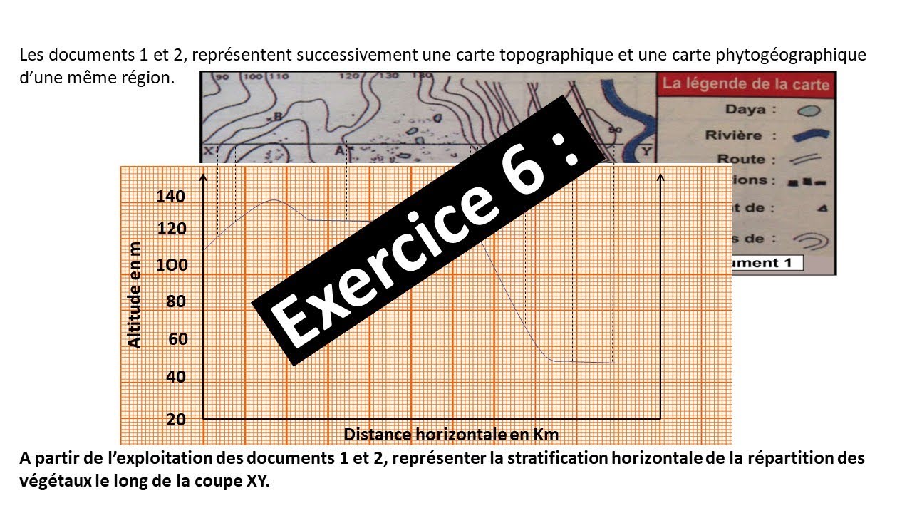 Exercice 6 : Le profil topographique/ Raisonnement scientifique : Sortie écologique.