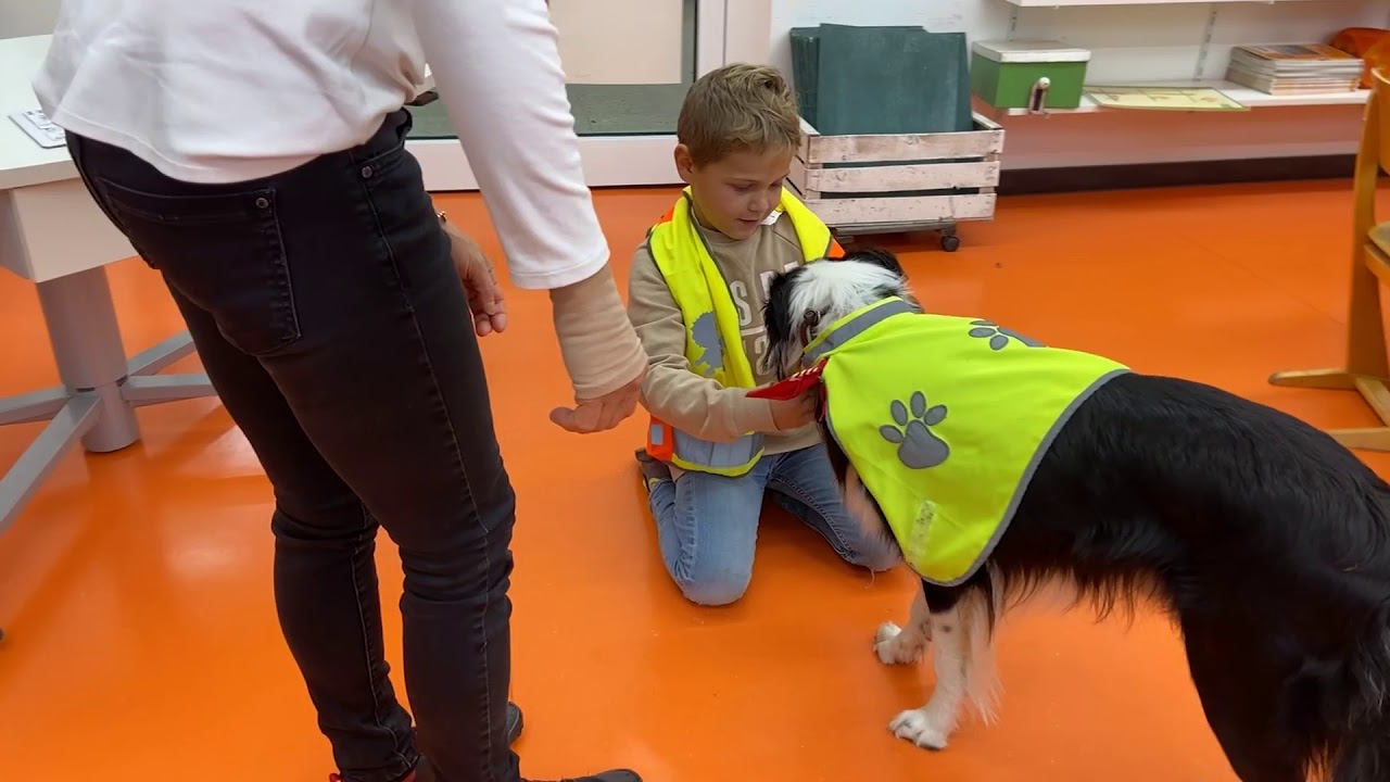 Parkschule Essingen: Schulhund Doti