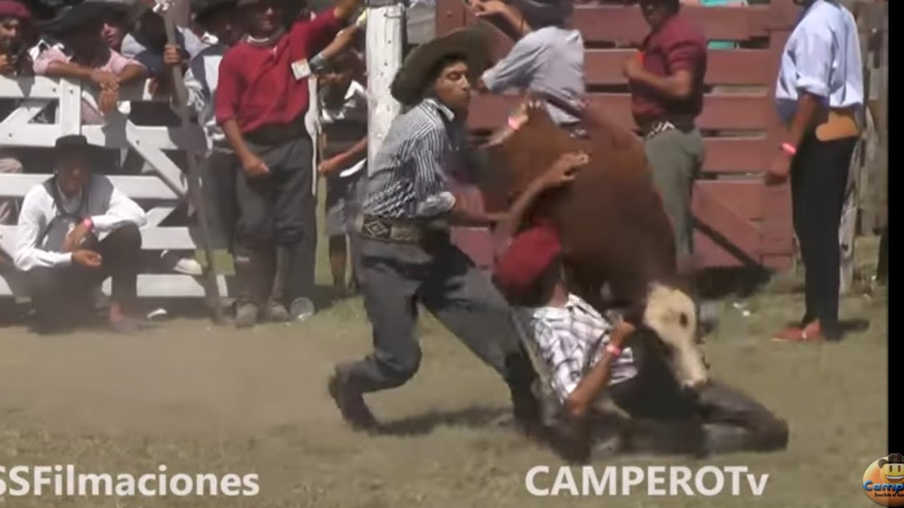 Trancada de Vacunos🐂🤠 Fiesta del Ternero Sauceño 2020 Canal Rural CamperoTv AgroTv Horses Toros