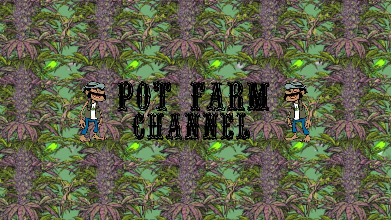 Let's Play Pot Farm Part 1 Road to more land