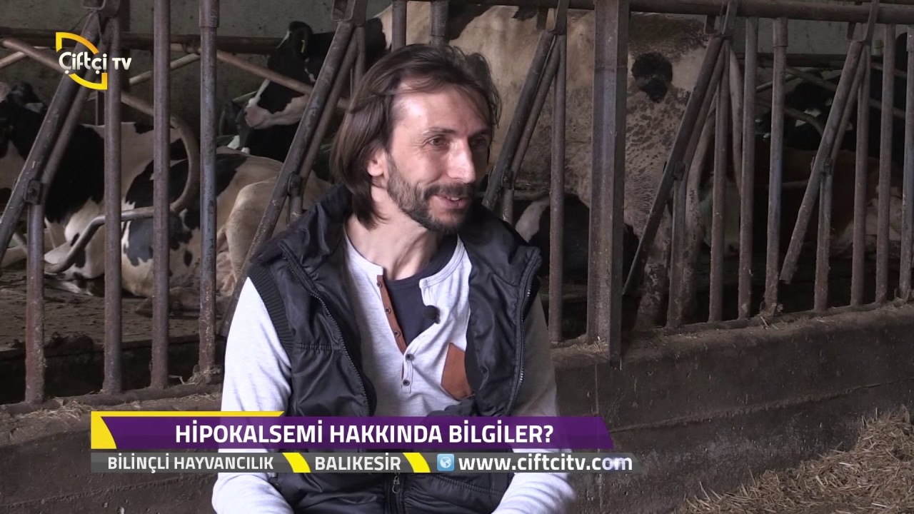 Bilinçli Hayvancılık - Doğumdan Sonra Hangi Hastalıklarla Karşılaşabiliriz? / Balıkesir