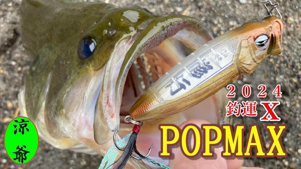 【バス釣り】【POPMAX】そうだったのか！最初は修行からだったのか！