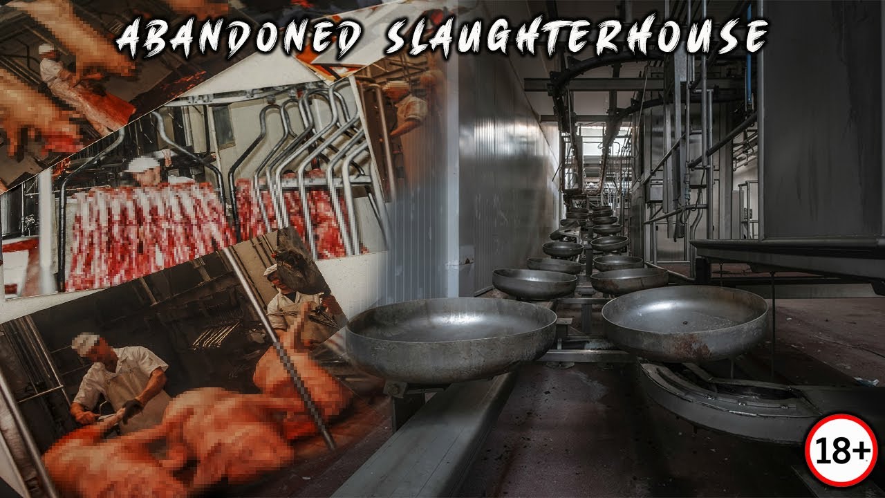 Sneaking into an Abandoned Slaughterhouse with Everything Left Behind (Unpleasant Exploration)