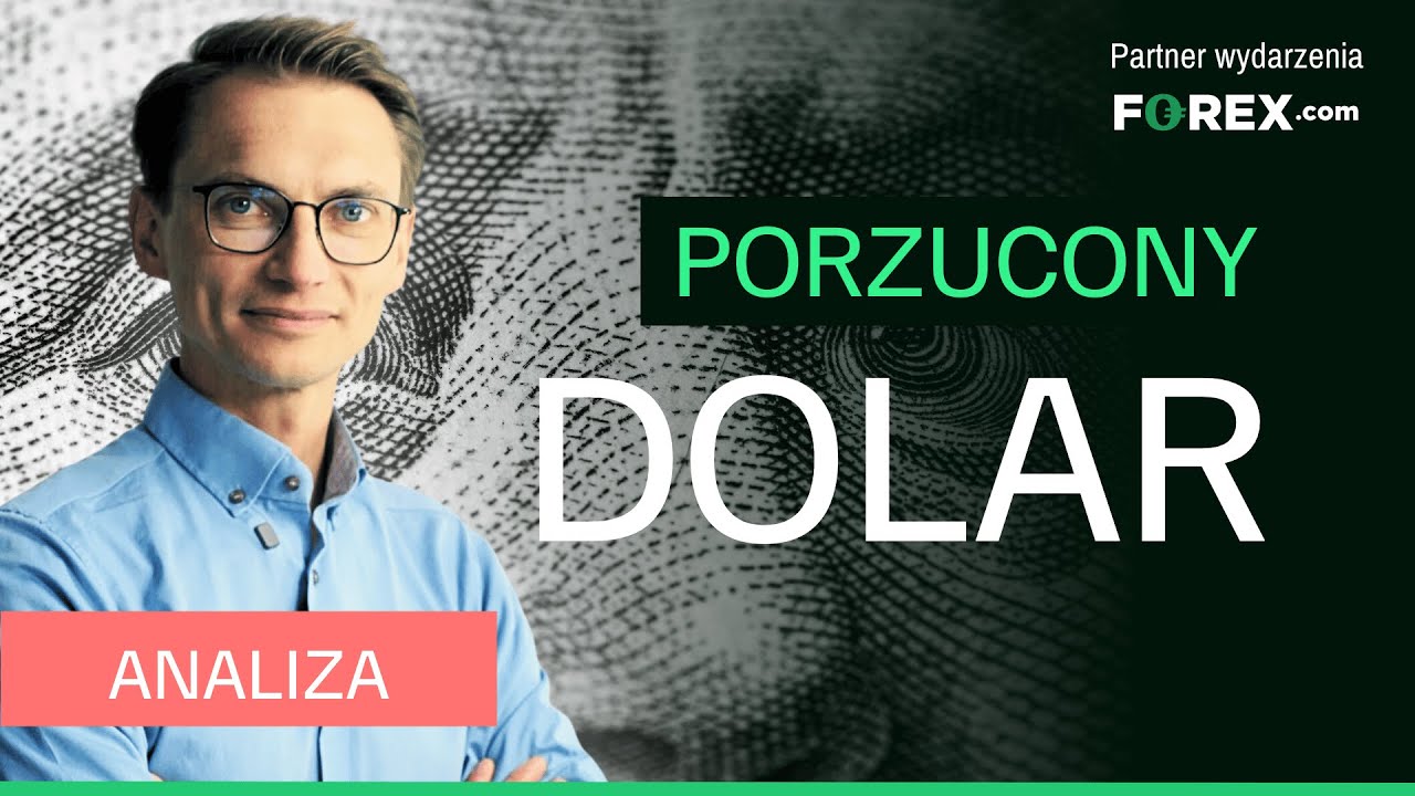 Dlaczego kupiłem dolara? Jakie prognozy dla Euro, Franka i funta na koniec roku?