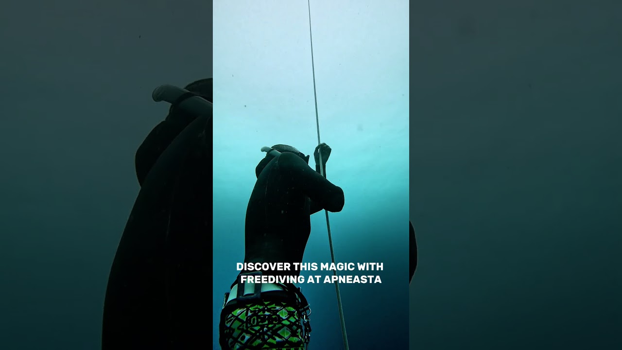 TIME STOPS UNDERWATER  #freedivingvideo #freedivinglife