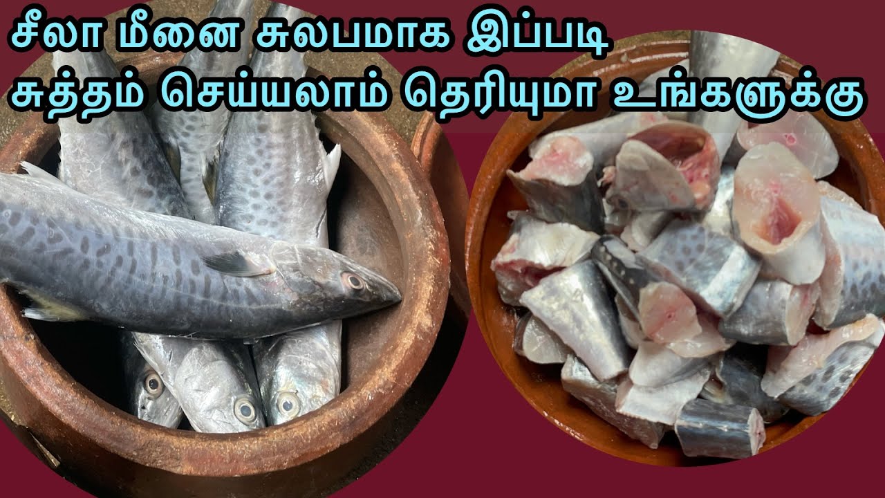 How to clean  Sheela fish/சுலபமாக சீலா மீனை சுத்தம் செய்வது எப்படி /fish cleaning