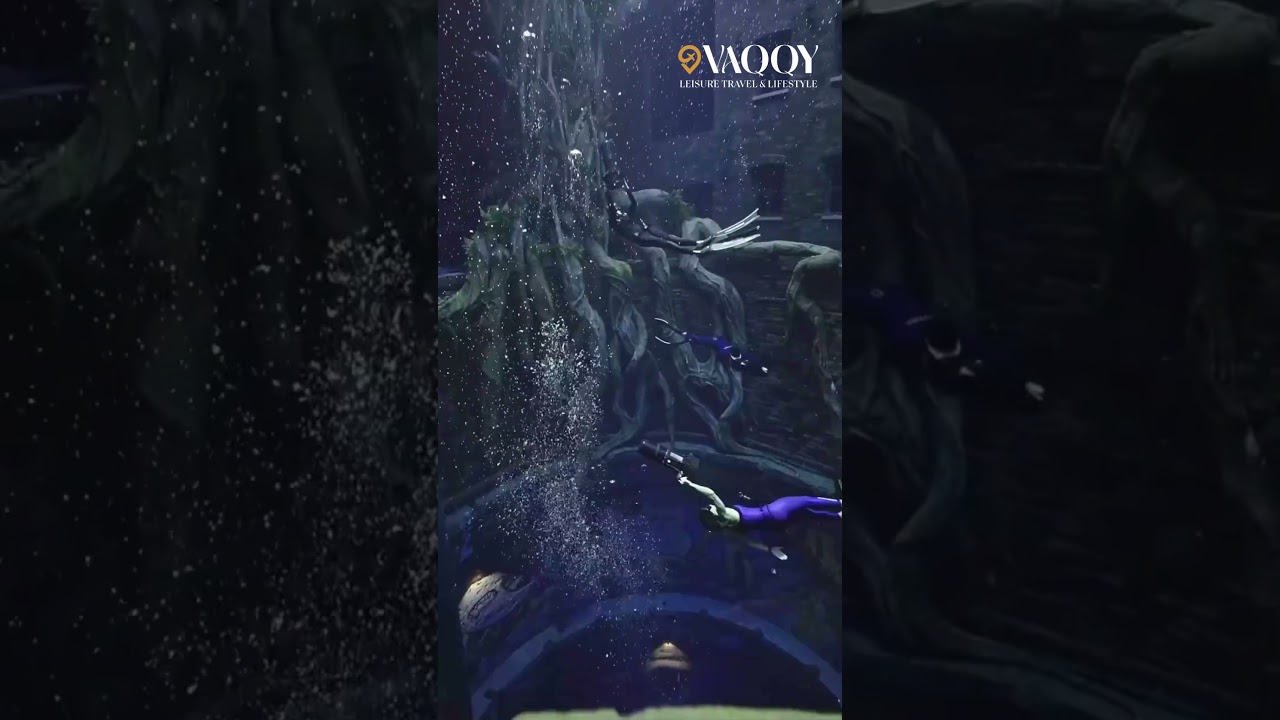 "Plunge into the depths of luxury at Deep Dive Dubai, the world’s deepest dive pool! 🌊  