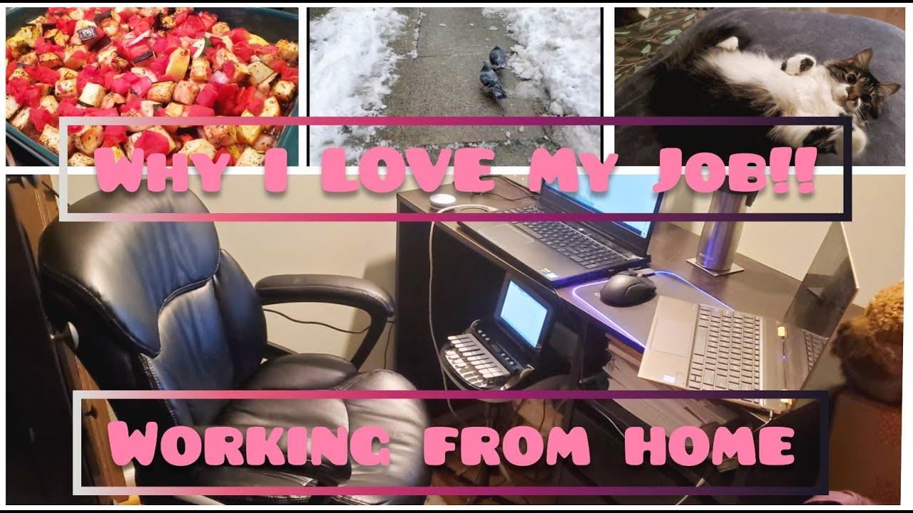 Day in the Life of a Court Reporter Working from Home - Why I LOVE My Job!!!