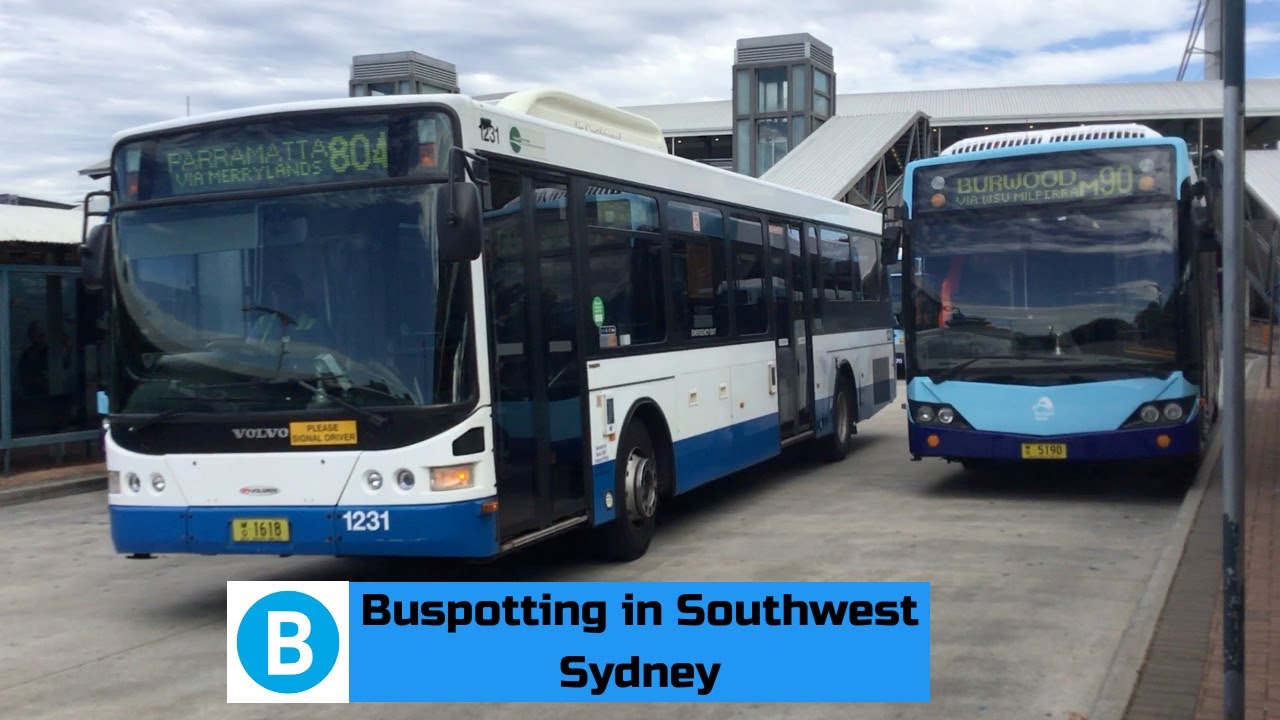 Adam's Trains Vlogs: Buspotting in Southwest Sydney