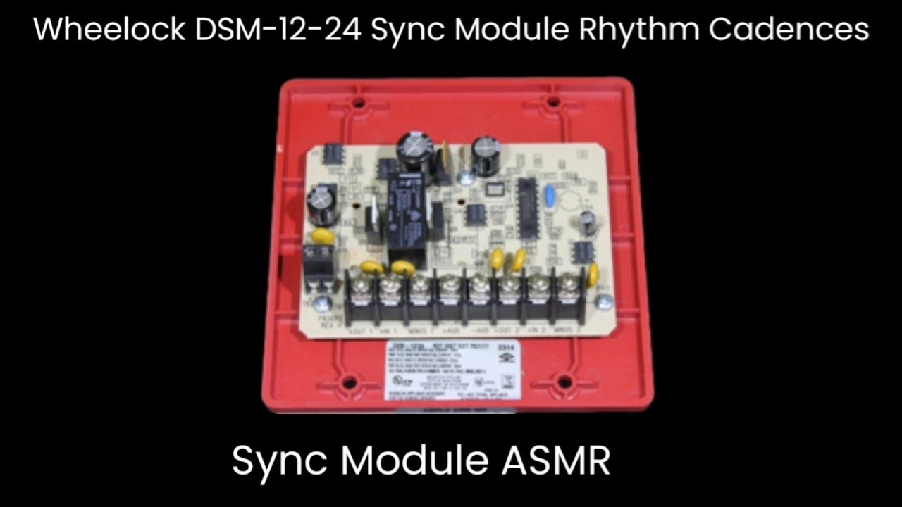 Wheelock DSM-12-24 Sync Module Cadences