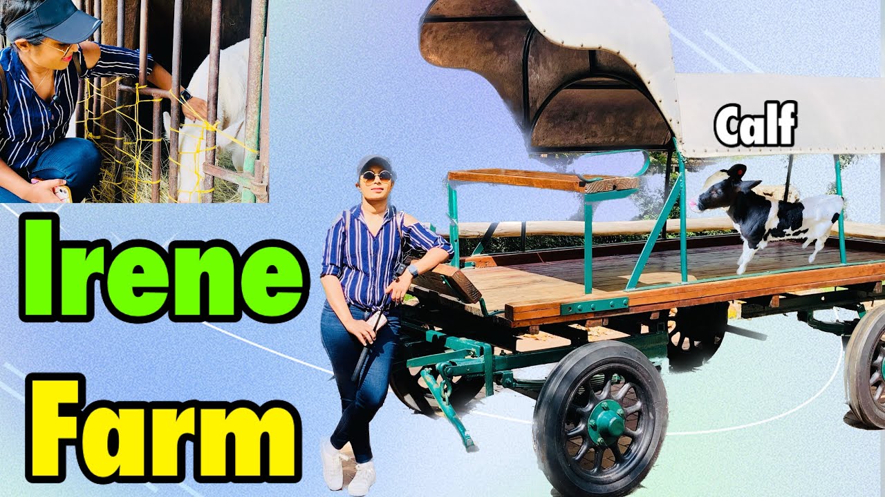 Irene Dairy Farm | Places to visit in Johannesburg | Restaurant in Centurion | girl travel Vlog