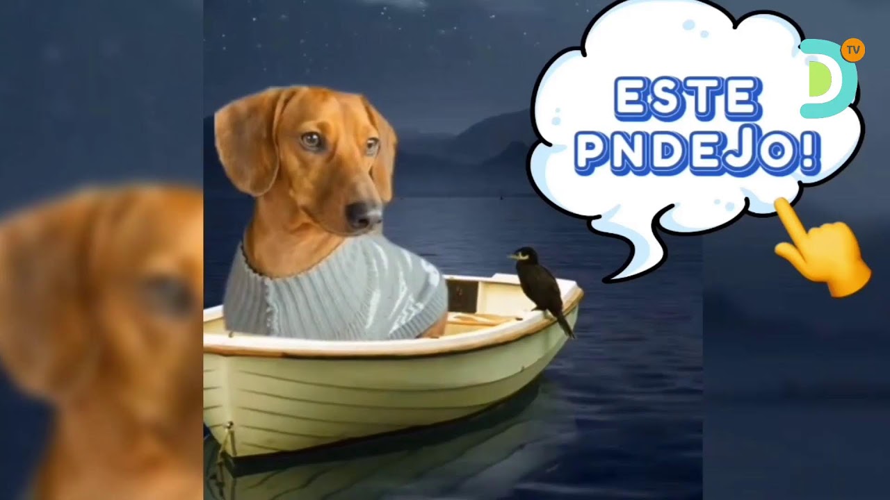 Cierre de Edición, con Pedro Ferriz