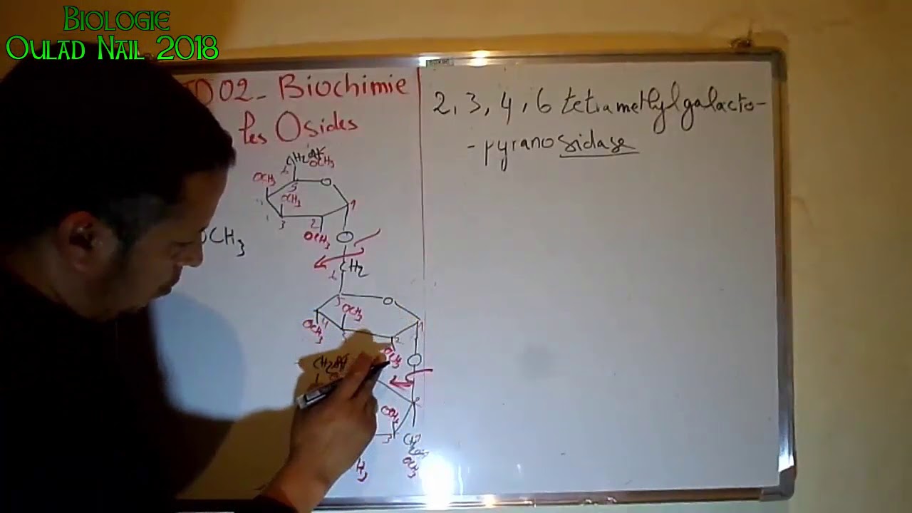 TD 02 Biochimie - les osides part 02  السلسلة الأولى من الكيمياء الحيوية - السكريات المعقدة