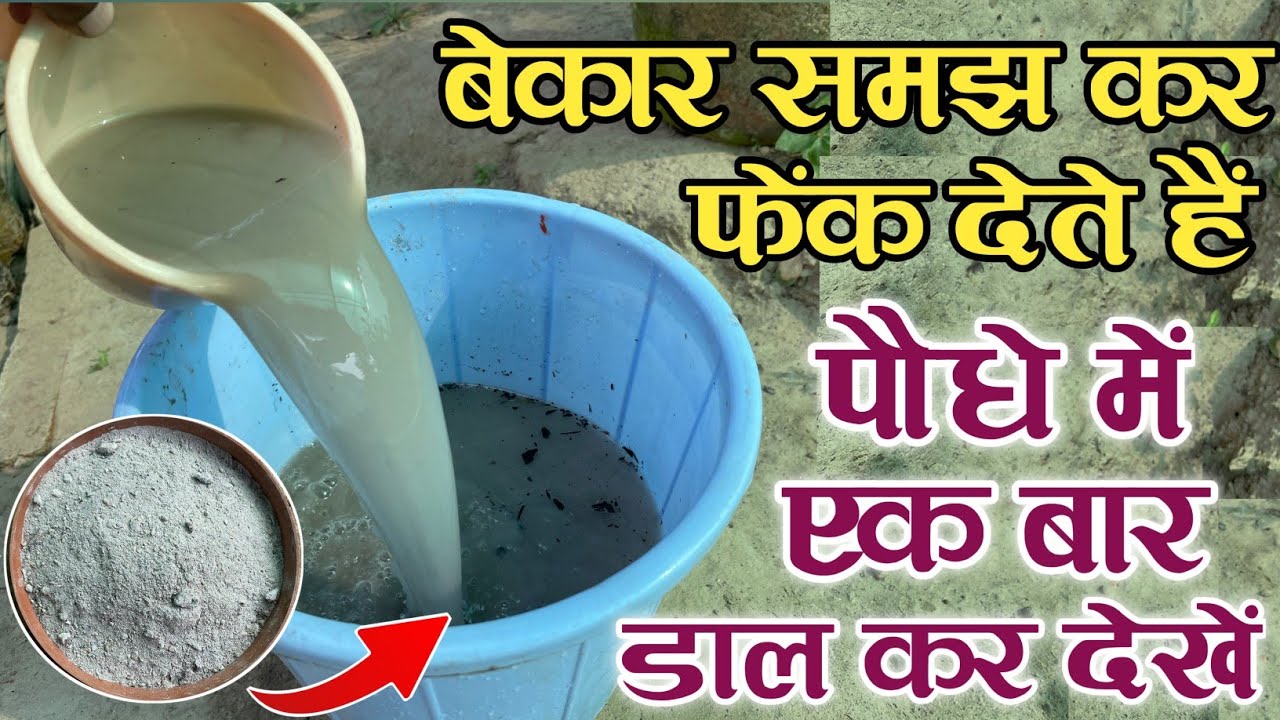 बेकार समझ कर फेंक देते हैं लकड़ी की राख की खाद | लकड़ी की राख का उपयोग कैसे करें | Wood Ash Uses