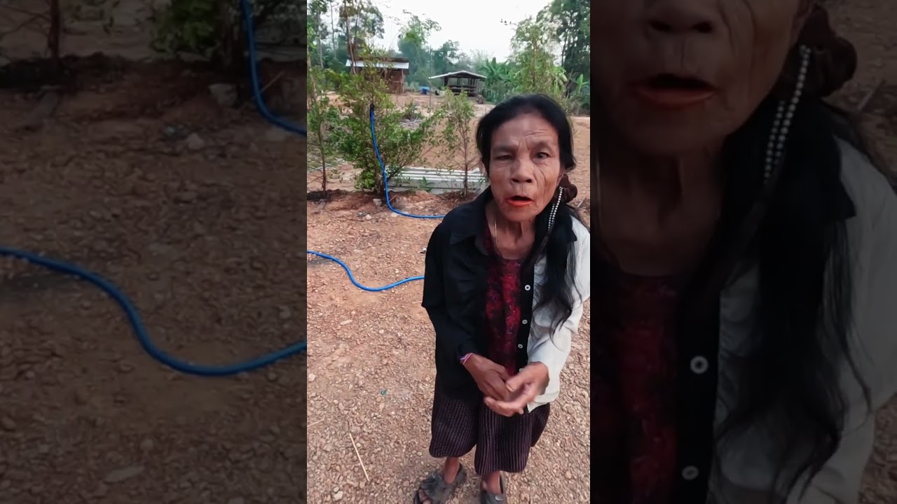 เช้านี้บรรยากาศดีมาก อุ้ยปัดมารดน้ำต้นไม้แต่เช้าเลยลาไปสองวัน เพื่อไปทำบุญ 