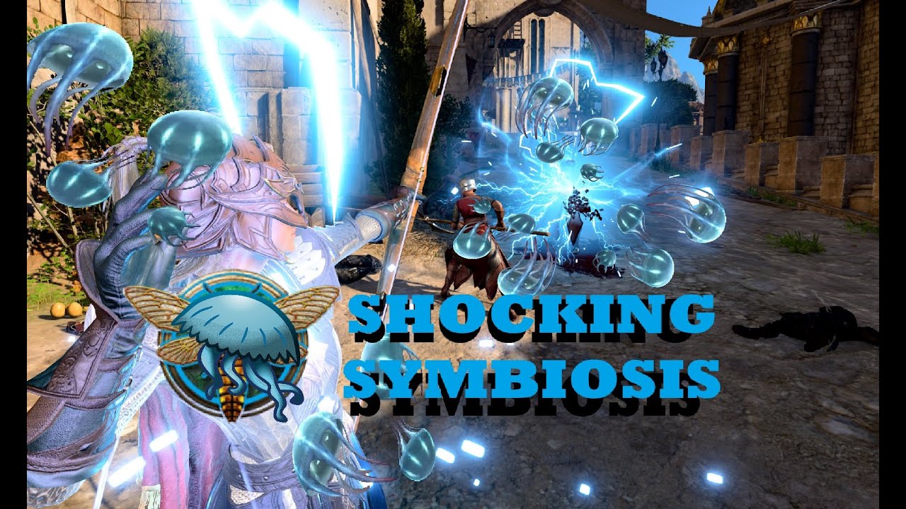 Swarmkeeper Symbiosis | Baldur's Gate 3