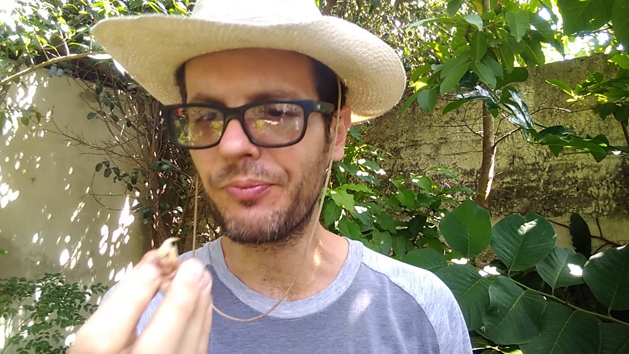 Probando pacuri por primera vez