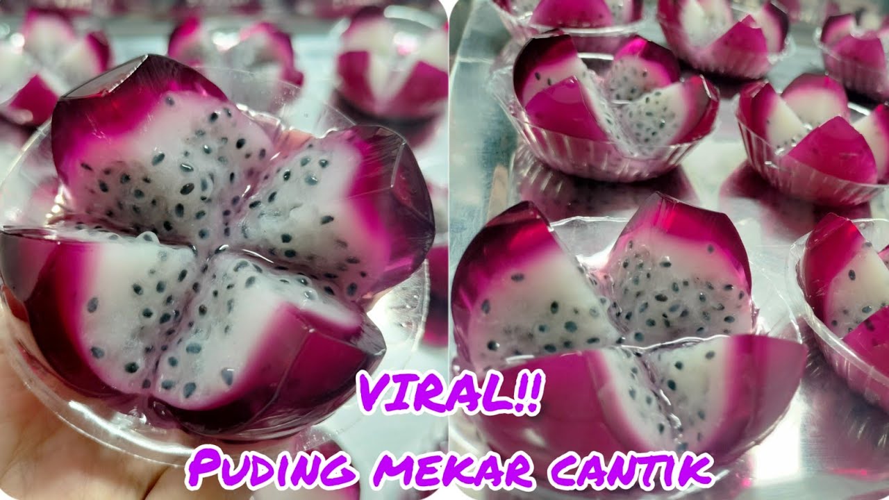 VIRAL⁉️ PUDING MEKAR CANTIK SEGAR SEPERTI BUAH NAGA