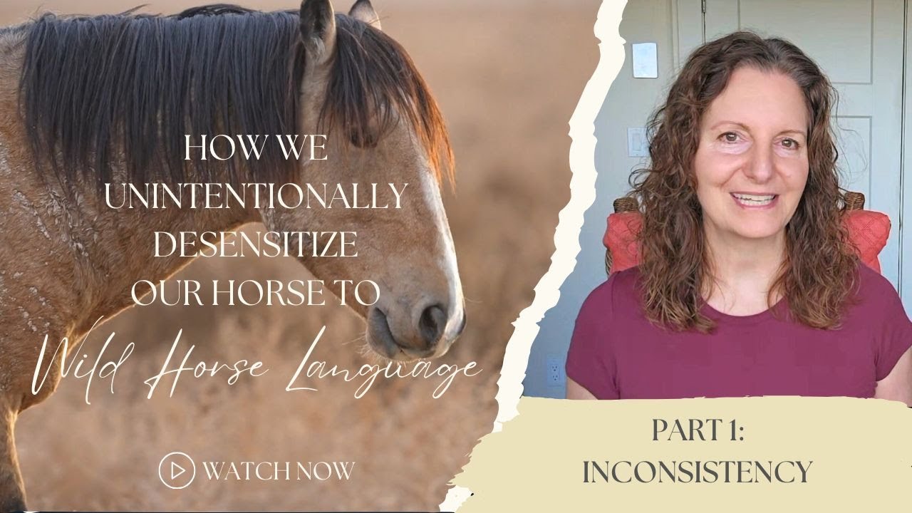 How We Unintentionally Desensitize Our Horse to Wild Horse Language – Part 1: Inconsistency