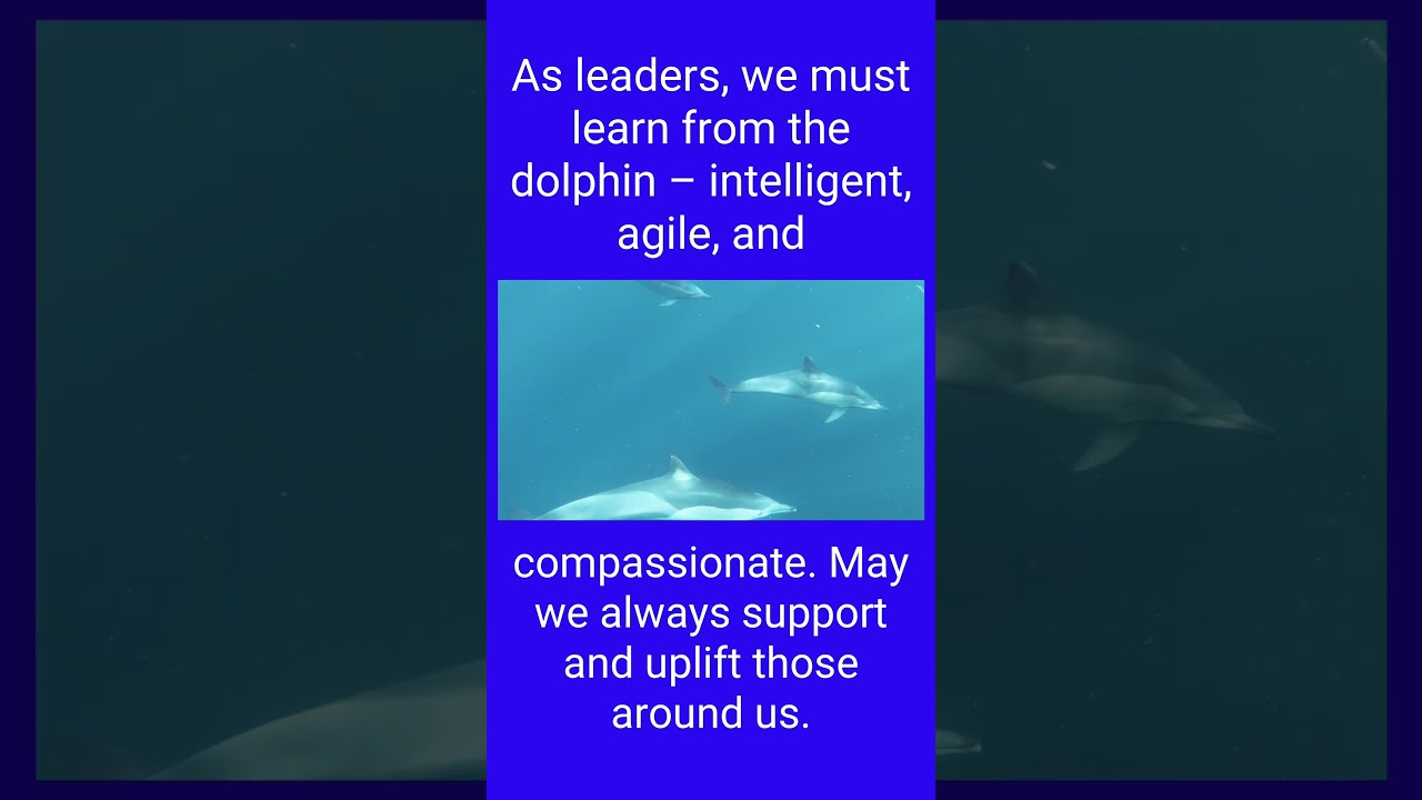 Dolphins can teach leaders compassion. 