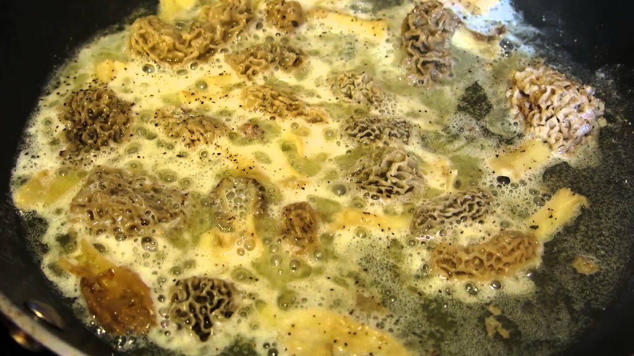 Sauteed Morel Mushrooms
