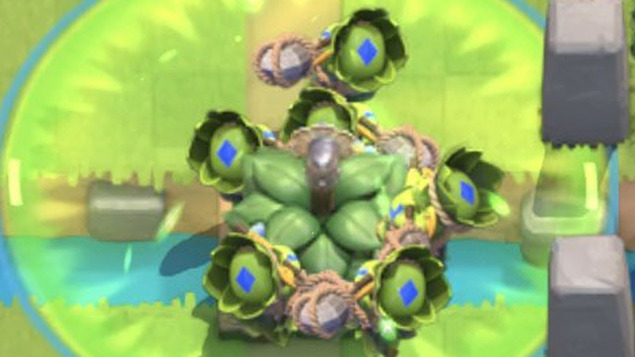 1.8 suspicious bush cycle