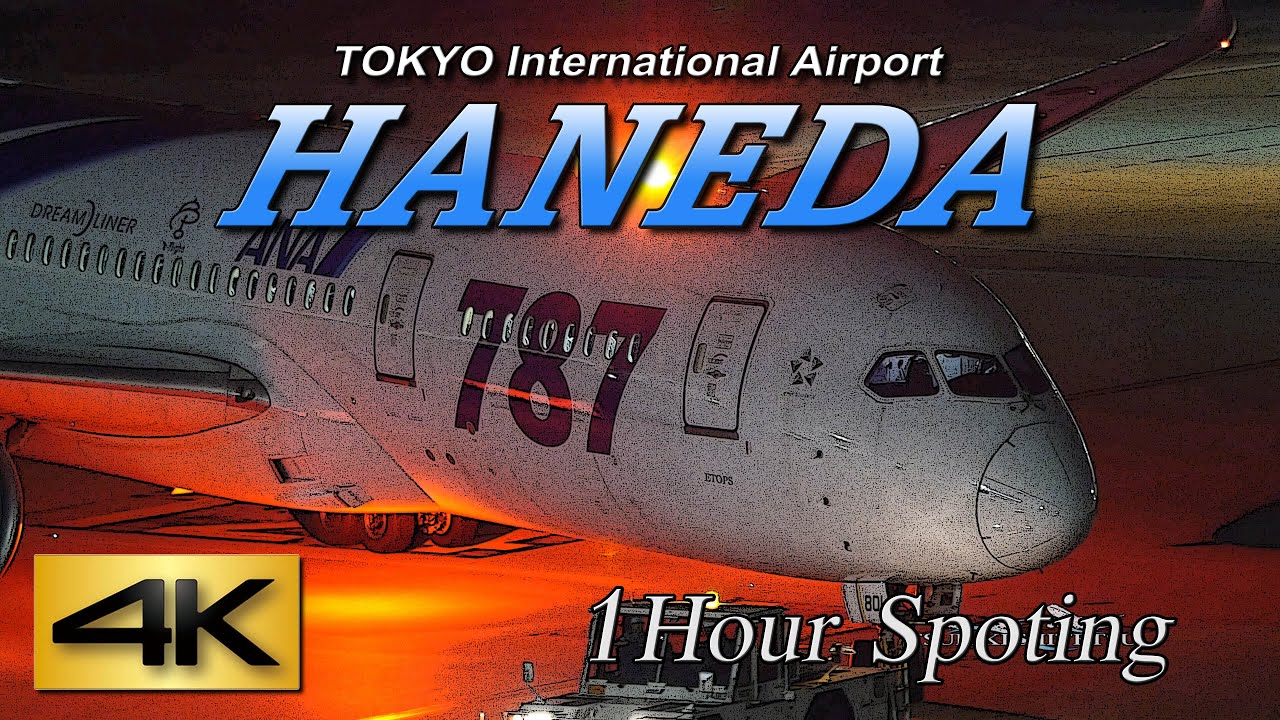 【4K】1Hour! Night view Spotting @HANEDA Airport International terminal