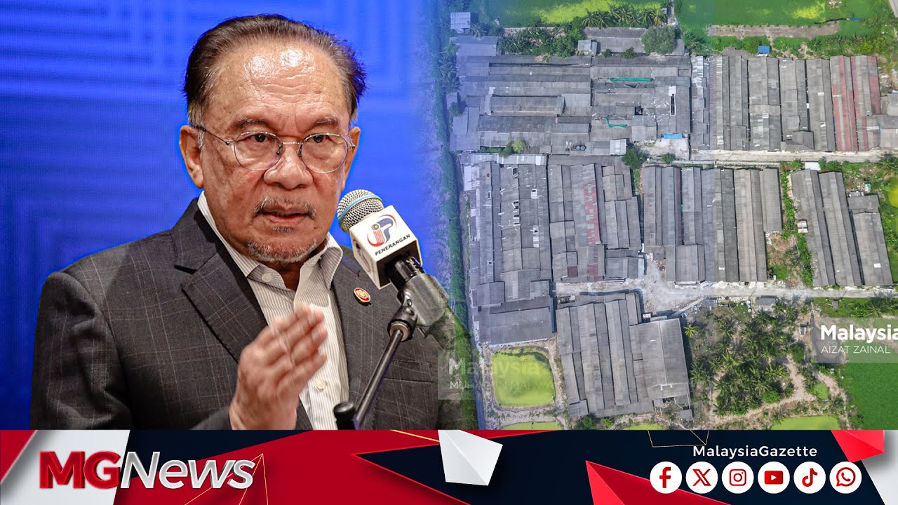 Ternak Babi Moden: Cari Tempat Bukan Kontroversi, Kerana Masalah Bau, Kesihatan Adalah 'Real' - PMX