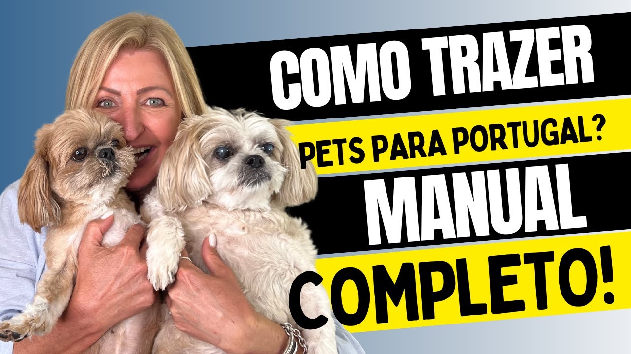 Como levar pets para Portugal - Passo a passo | Portugal Online Oficial
