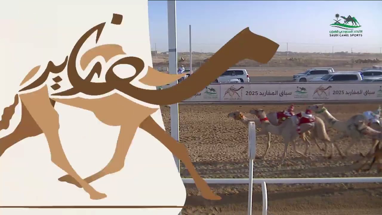 الشوط 17 مفاريد بكار-عام السبت 05-07-2025، أشواط التأهيل الثاني ضمن منافسات ⁧‫#سباق_المفاريد‬⁩ 2025